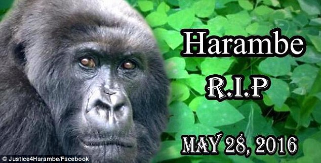 Harambes+Revenge