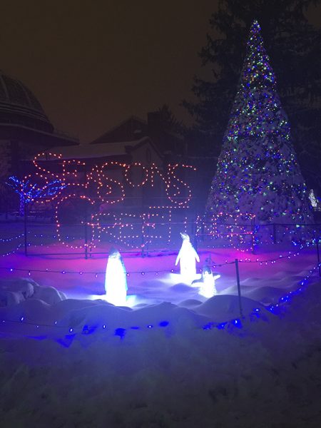 Detroit Zoo holiday traditions expand