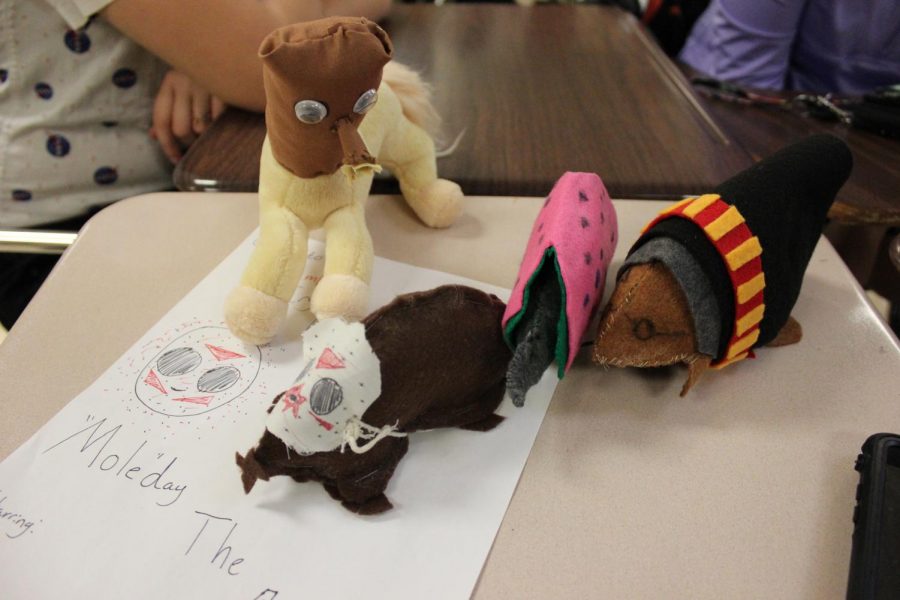 mole day (2)