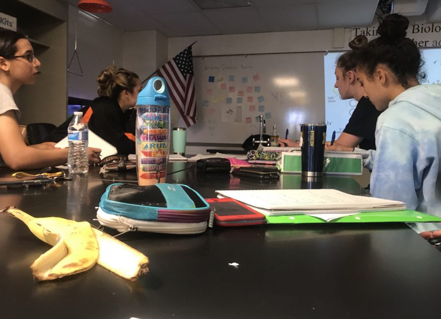 Advanced Placement biology students working hard on an early Saturday morning to ensure they will score well on the test. 
MACKENZIE MALONE PHOTO