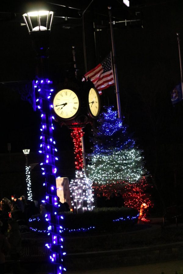 The tree was lit in red, white, and blue to commemorate Memorial Park, where the event was held. 