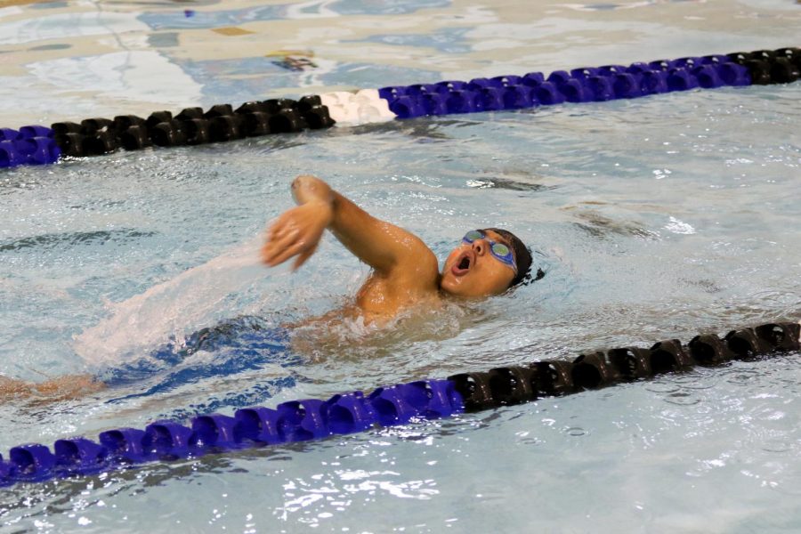 Swimming at the home pool at Eisenhower High,  sophomore Om Bidja competes in a race. 