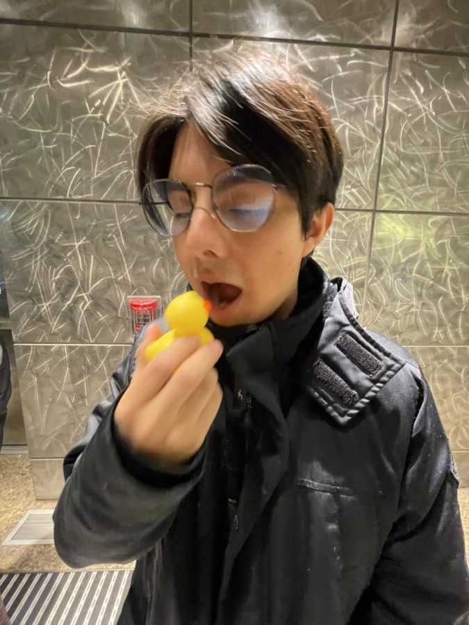 eating a plastic duck