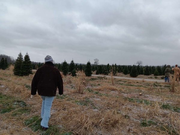 Senior Charlie Dobson trying to find the perfect tree at a tree farm. 