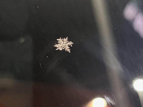 A snowflake from the very first Michigan snow of 2024.