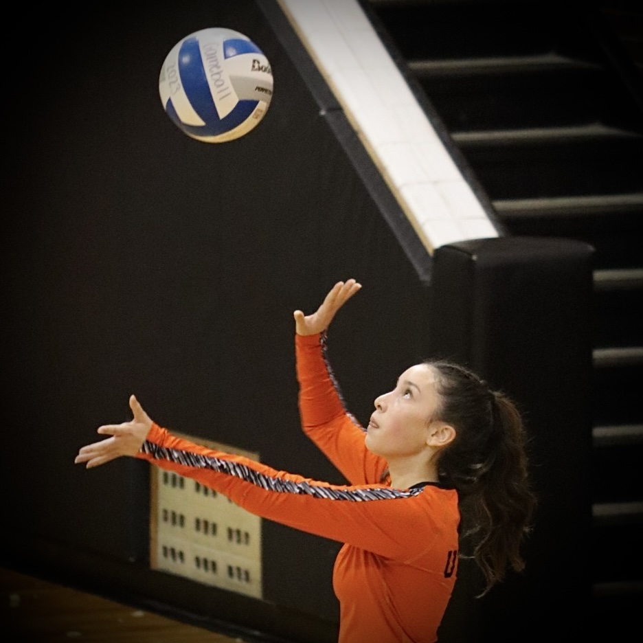 Photo of the Day #36!
Sophomore Nikita Bretz serves the ball to their opponent Eisenhower at last nights JV game.